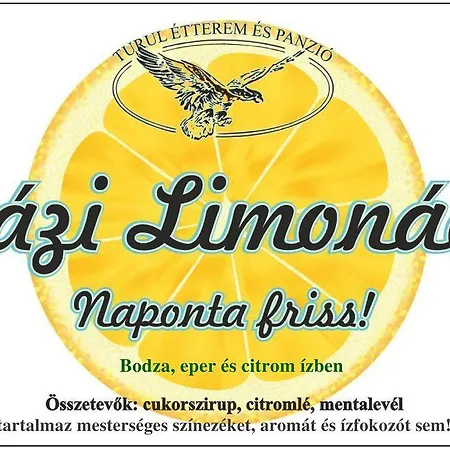 Turul Etterem Es Panzio ゲストハウス Kaposvár