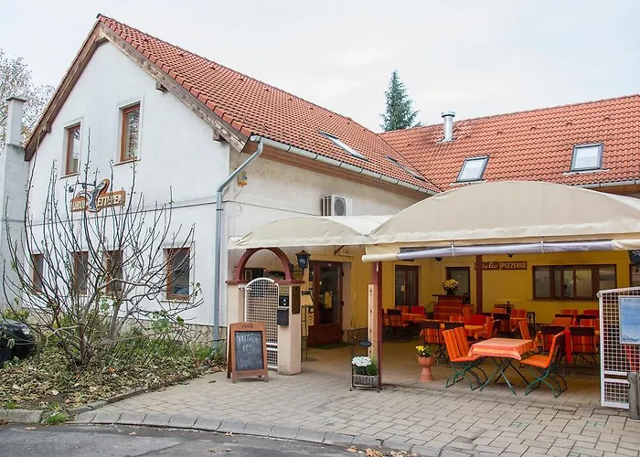 Pensjonat Turul Etterem Es Panzio