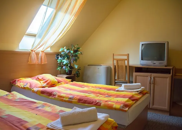 Turul Etterem Es Panzio 3* Kaposvár